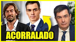 🚨 ¡BOMBAZO EN LA AUDIENCIA NACIONAL! El JUEZ PEDRAZ acorrala las CLOACAS del PSOE  💥⚖️