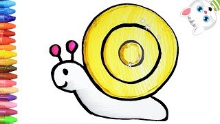 Cara Menggambar Siput Yang Lucu | How to Draw a Cute Snail | Cara Menggambar dan Mewarnai TV Anak