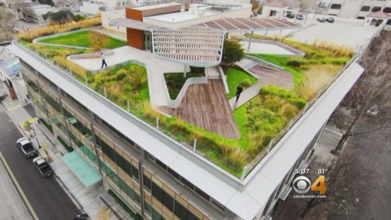 Will Voters Agree To Green Roofs In Denver?