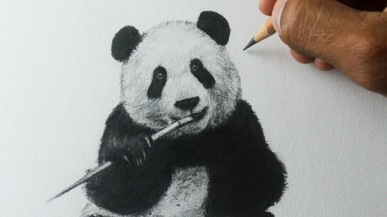 Como Desenhar Panda Passo a Passo (Curso Grátis)