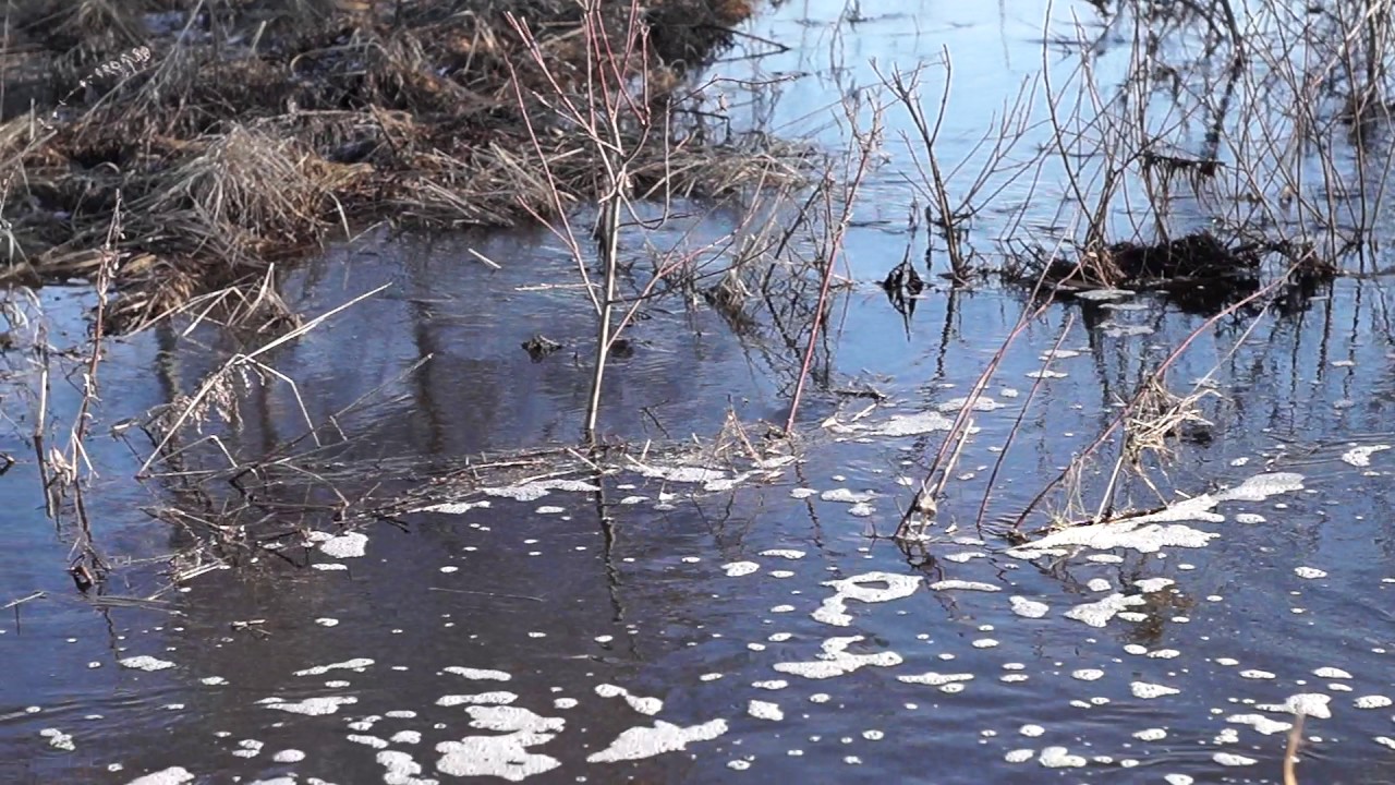 Большая Вода Фото
