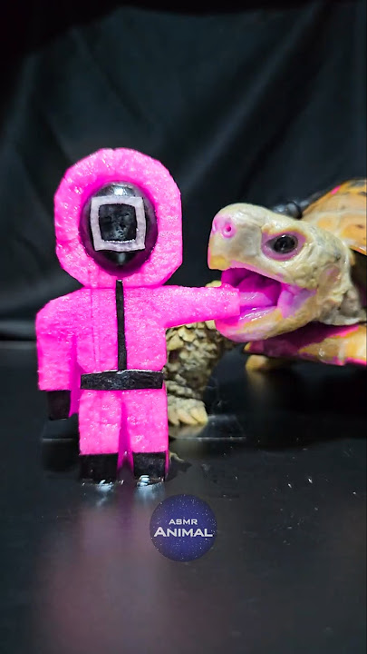 Squid Game ASMR Mukbang Eating Pink Soldier 🦑 Turtle Tortoise
