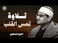 حين يقرأ المنشاوي ترتجف الأرواح تلاوة تمس القلوب الشيخ محمد صديق المنشاوي mp3