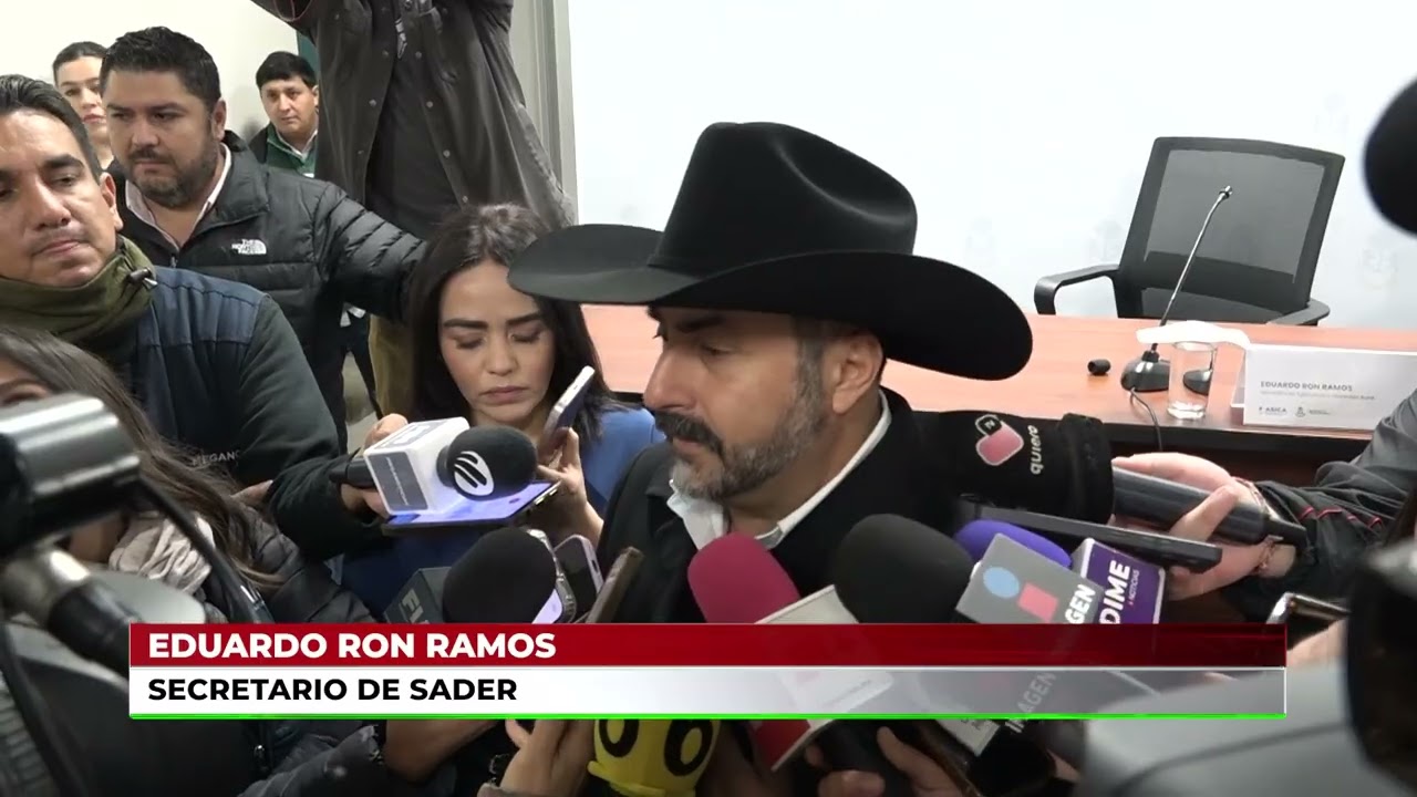 APOYO ECONÓMICO PARA PRODUCTORES DE MAÍZ DEPENDERÁ DEL PROCESO DE VENTA Y VALIDACIÓN FEDERAL