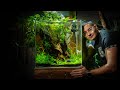 Betta paradise tutorial  massive 33 gallon aquarium for billy the betta