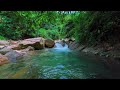 Drift Into Peaceful Sleep with Soft Stream Sounds for Calm Mind and Stress Relief