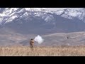 Hunting Upland Birds Mountain Man Style!