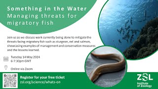 Something in the water: Managing threats to migratory fish