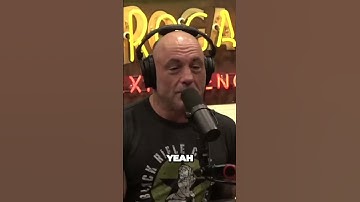 Surviving a Wild Encounter with a Massive Everglades Python!