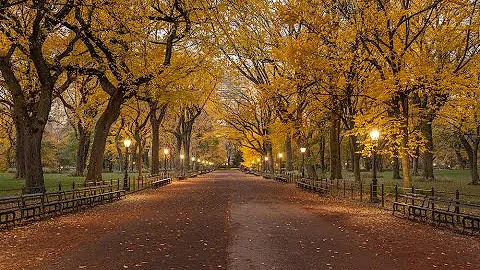 NYC Photography: Central Park in Fall