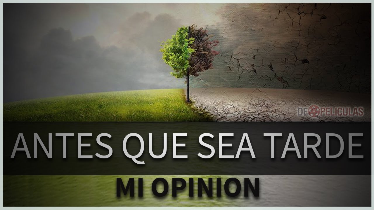 Mi Opinion Antes Que Sea Tarde Documental Youtube
