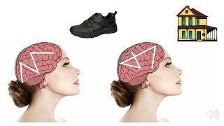 Norman Kong BrainHack School 2019 - Brain decoding