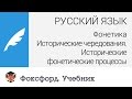 Исторические чередования. Исторические фонетические процессы. Центр онлайн-обучения «Фоксфорд»