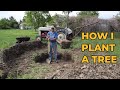 How I Plant a Tree - I Dig a BIG Hole Using a Tractor with a Post-Hole Digger