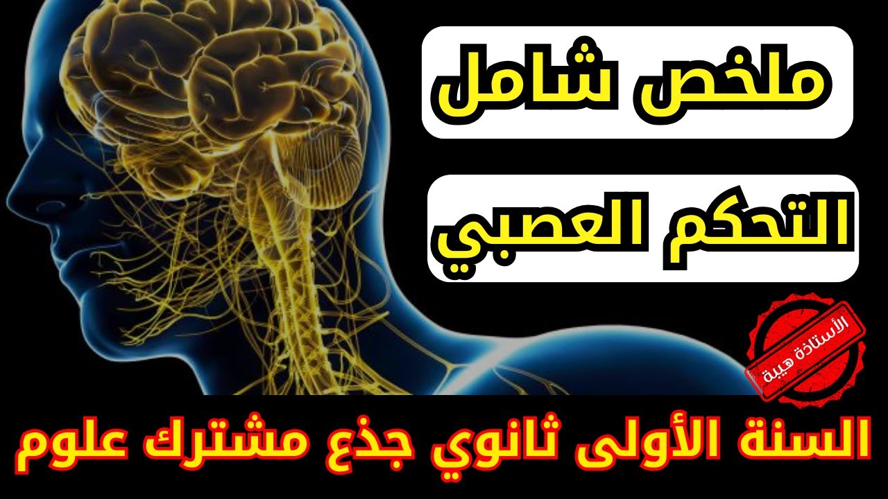 ملخص شامل | التحكم العصبي | مراجعة للإختبار في مادة العلوم الطبيعية الفصل الثالث السنة الأولى ثانوي