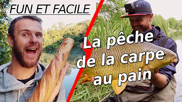 Comment pêcher la carpe à la surface ?