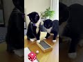 Susan Starts a Game