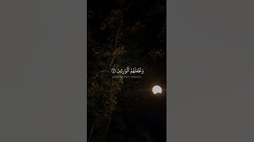 وَنُرِيدُ أَن نَّمُنَّ عَلَى ٱلَّذِينَ ٱسْتُضْعِفُوا۟ فِى ٱلْأَرْضِ | صديق المنشاوي | تلاوة جميلة