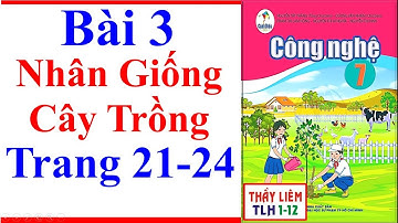 Công Nghệ 7 Bài 3 | Nhân Giống Cây Trồng | Trang 21 – 24 | Cánh Diều
