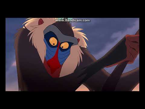 The Lion King - Circle of Life (SLOVENE) - YouTube