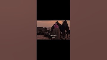 تلاوة من سورة القصص للشيخ علي صلاح عمر. #اكسبلور #حالات_واتس #تيك_توك #لايك #ترند
