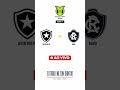 Botafogo RJ - Remo | Brazil Serie A | Rodada 14 | AO VIVO