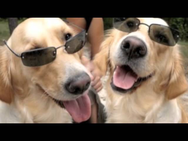pix Future So Bright I Gotta Wear Shades Lyrics future so bright i ve got to wear