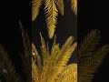 ياروحي المنصابه تصبري في غيابه ياروحي المنصابه تصبري في غيابه