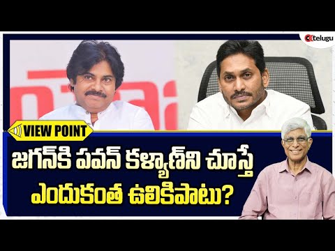 పవన్ కళ్యాణ్ వారాహి యాత్రతో కకావికలమవుతున్న జగన్ గ్యాంగ్ || Pawan Kalyan || CM Jagan || Ok Telugu