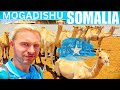 $1,500 Camel &amp; Shopping in Mogadishu 🇸🇴 (Somalia 2024)