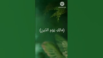🌹صوت للقارئ{ محمود سيد} (سوره الفاتحه) 🌹
