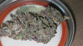 White Grapefruit Cookie