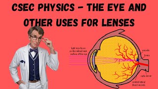 The Eye and Other Applications | CSEC Physics