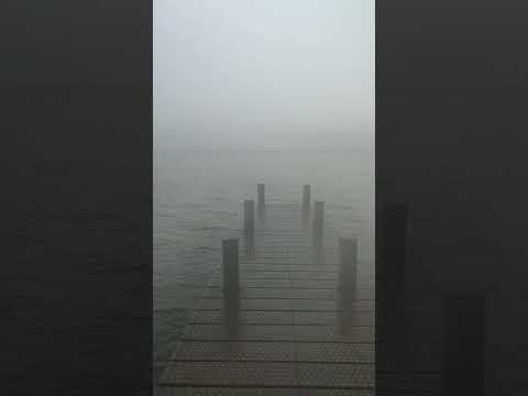 lake in Fog
