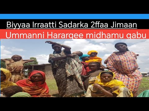 Biyyaa irraatti sadarka 2ffaa jimaan Ummaani Harargee midhamu qabu