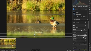 How to use the linear gradient tool on Adobe Camera RAW 2025