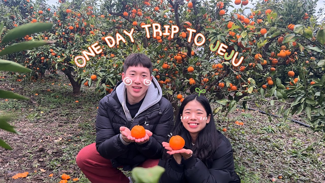 [VLOG] 겨울 제주 뚜벅이 당일치기 여행 🍊 공항부터, 우진해장국 먹고, 애월 하귀리 찍고, 동문시장까지 ✈️