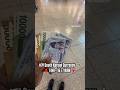 korean🇰🇷 currency 50k🤠note #viral #travel #southkorea #currency #trending #money