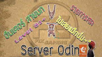 Ragnarok EXE [Live] ติดธุระมาช้าต้องขออภัย หาเงินซื้อมีดธาตุให้โร็คกันต่อ ฮันนก 87