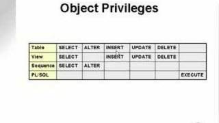 learning oracle application developer 52