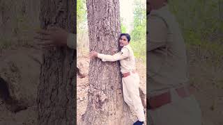 Tree Theory#Forest patrolling #Nature#Forest guard duty#Keonjhar forest division#forest
