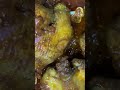 #food #fypシ゚viral #dothingsyoudontwanttodo #cooking #cookingfood