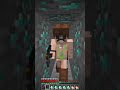 POV: You're The Richest Minecraft Player