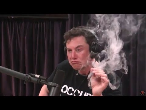 Joe Rogan: de controversiële podcasthost die Elon Musk tot een joint verleidde en nu Neil Young de kast op jaagt - VRT NWS