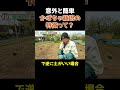 【かぼちゃの定植】説明