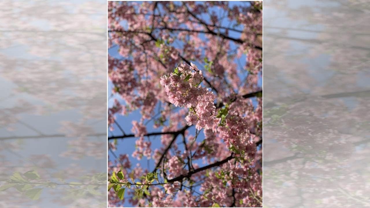 松尾由美子アナ 最近感動したことを紹介 ものすごく美味しくなるんですね Videos Wacoca Japan People Life Style