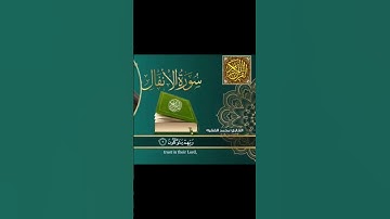 الشيخ محمد الفقيه سورة الأنفال @abwshayifjaber7