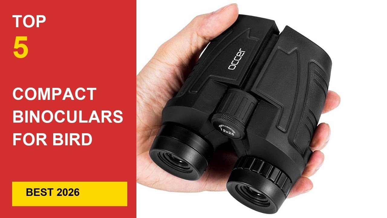 Video thumbnail: Best Compact Binoculars for Bird Watching in 2026 – Ultimate Reviews in 2026