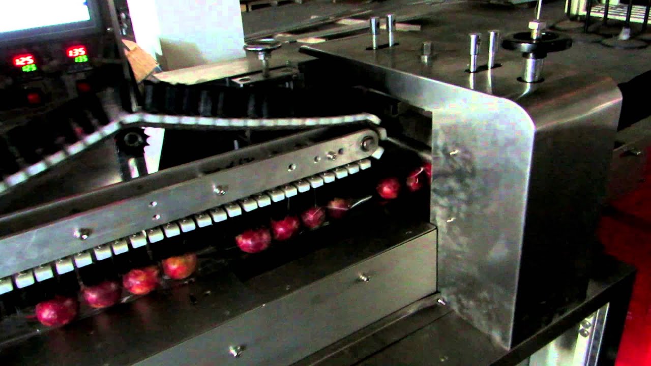 Passion Fruit Packing Machine, Passion Fruit wrapping Machine YouTube