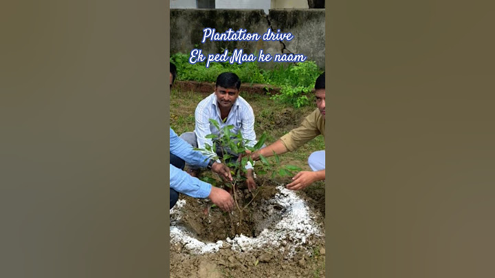 Plantation drive ek Pauda Maa ke naam #shorts #plants  #shortsfeed